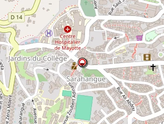 Carte de Dg Service à Mamoudzou