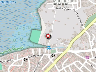 Carte de Attoumani Ahmed à Dzaoudzi