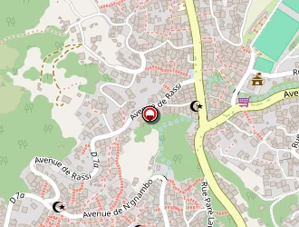 Carte de Adpccm 976 à Chiconi