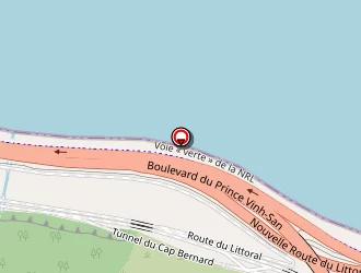 Carte de Jade à Saint-denis