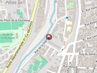 Carte de Vanesse Steve à Saint-denis