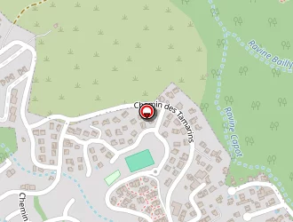 Carte de Elan Eric à Saint-denis