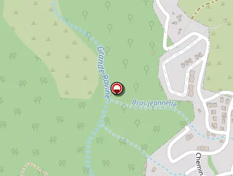 Carte de Zircone à Saint-denis