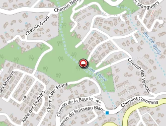 Carte de Mana Energy à Saint-denis