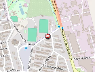 Carte de Delamarre Sacha à Saint-denis