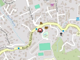 Carte de Chanuc Stéphane à Saint-denis