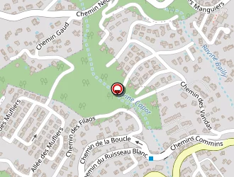 Carte de Océ India à Saint-denis