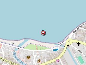 Carte de Zohra à Saint-denis