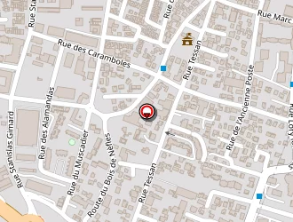 Carte de Cholet Steve à Saint-denis