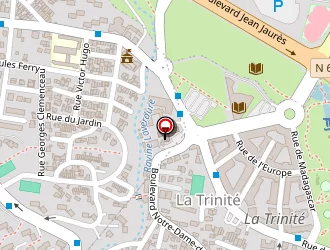 Carte de Parain Cécile à Saint-denis