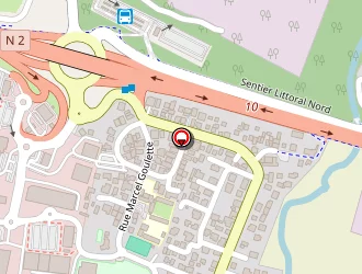 Carte de Institut Fleurs De Prunier à Sainte-marie