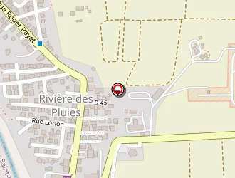 Carte de Ramassamy Raynald à Saint-denis