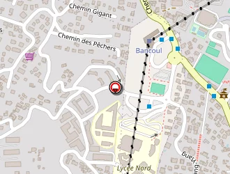 Carte de Runcar Tools à Saint-denis