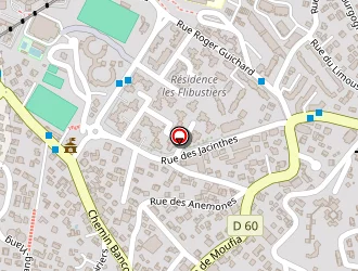 Carte de Kichenama Nicolas à Saint-denis