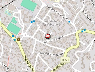 Carte de Kichenama Nicolas à Saint-denis