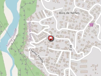 Carte de Ste Incendie à Saint-denis