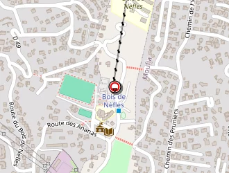 Carte de Mairie à Saint-denis