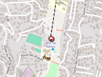 Carte de Juignet Laëtitia à Saint-denis