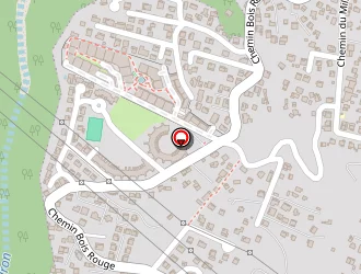 Carte de Siconine Brigitte à Saint-denis