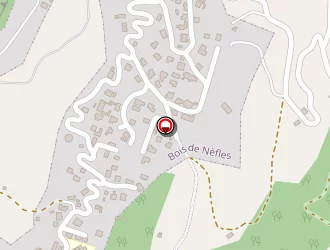 Carte de Lamoly Vincent à Saint-denis