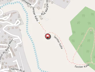 Carte de Bouissiere Xavier à Possession (la)