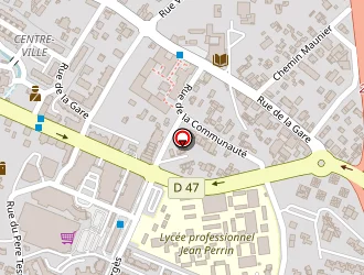 Carte de Hong Chui Kien Anise à Saint-andré