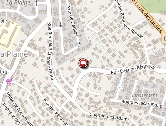 Carte de Vallès Stéphane à Saint-paul