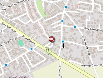 Carte de Ok Projection à Bras-panon