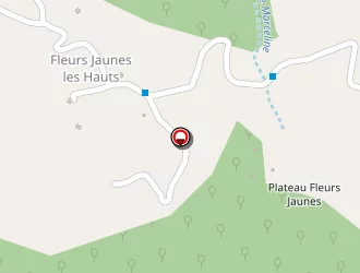 Carte de H.r.p.b. à Salazie