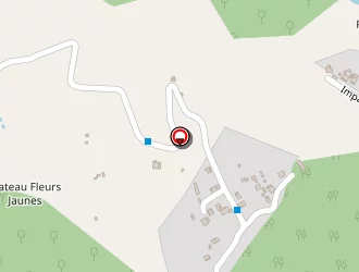 Carte de Denis Emmanuel à Salazie