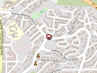 Carte de Bic Athéna à Saint-paul