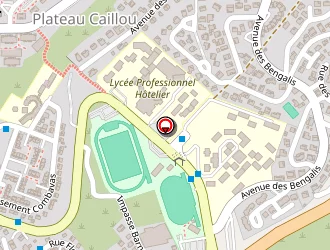 Carte de Ananda Govinda à Saint-paul