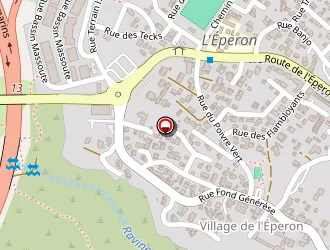 Carte de Van Clemput Caroline Christel à Saint-paul