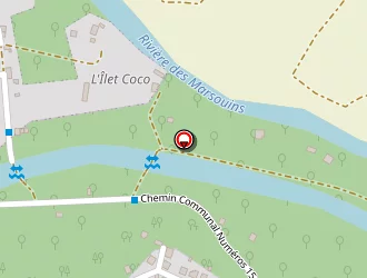 Carte de Sautron Jean-sylvano à Saint-benoît