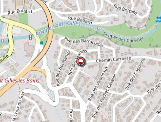 Carte de Lecomte Sandrine à Saint-paul