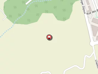 Carte de Les Saveurs De Jacqueline à Saint-benoît