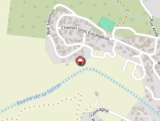 Carte de Mahier Daniel à Saint-paul