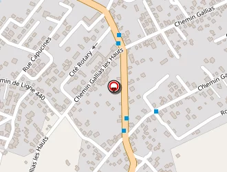 Carte de Sautron Vanessa à Saint-benoît