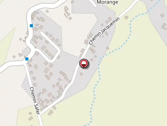 Carte de Feve Elagage à Saint-benoît