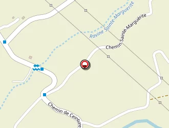 Carte de C . D . I . O . I . à Saint-benoît