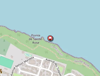 Carte de Faustin Patricia à Sainte-rose