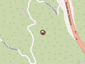 Carte de Vincent Multi Services à Saint-leu