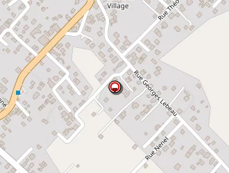 Carte de Ambulances Des Plaines à Plaine-des-palmistes (la)