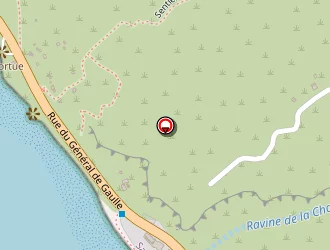 Carte de De L'ouest à Saint-leu