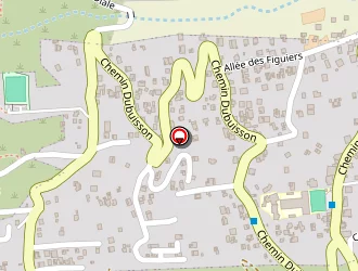 Carte de Geiser Corina à Saint-leu