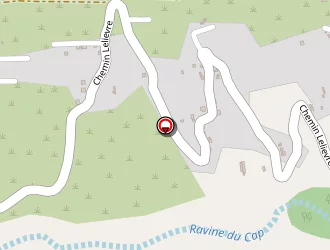 Carte de Cadet Richeville à Saint-leu