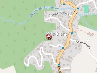 Carte de Bois Blanc à Sainte-rose