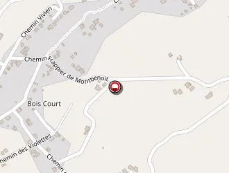 Carte de Multiservices à Tampon (le)