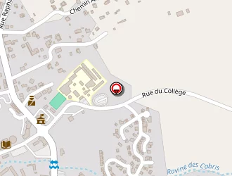 Carte de Mbs Construction à Tampon (le)