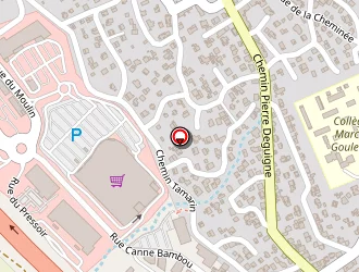 Carte de Passion Golf Réunion à Saint-leu